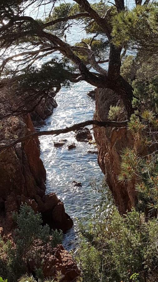 Saint Raphael, Cap Esterel Le Hameau. Vue Mer Экстерьер фото